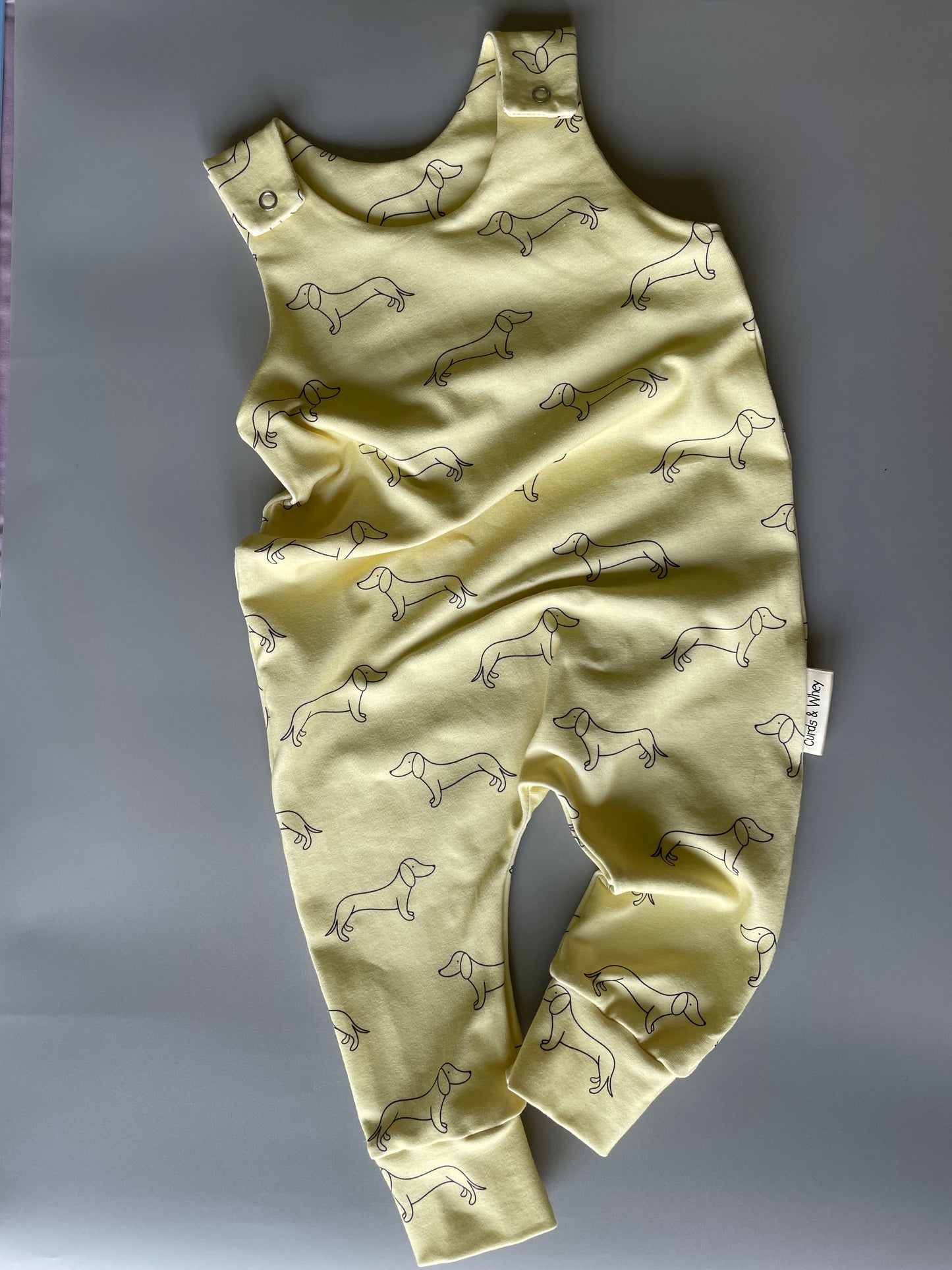 Sherbet Lemon Doodle Dach