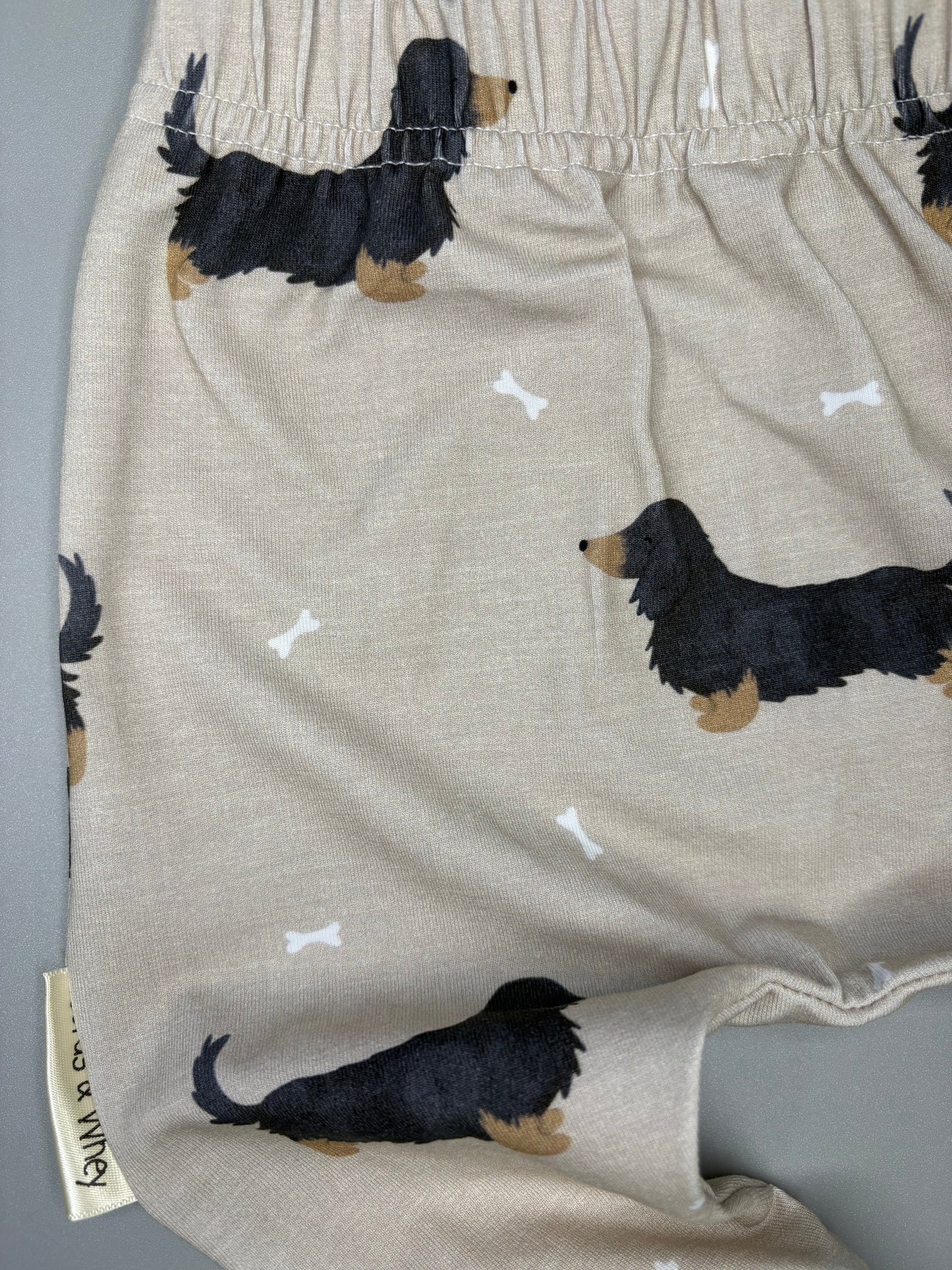 Nemo long haired dachshund leggings