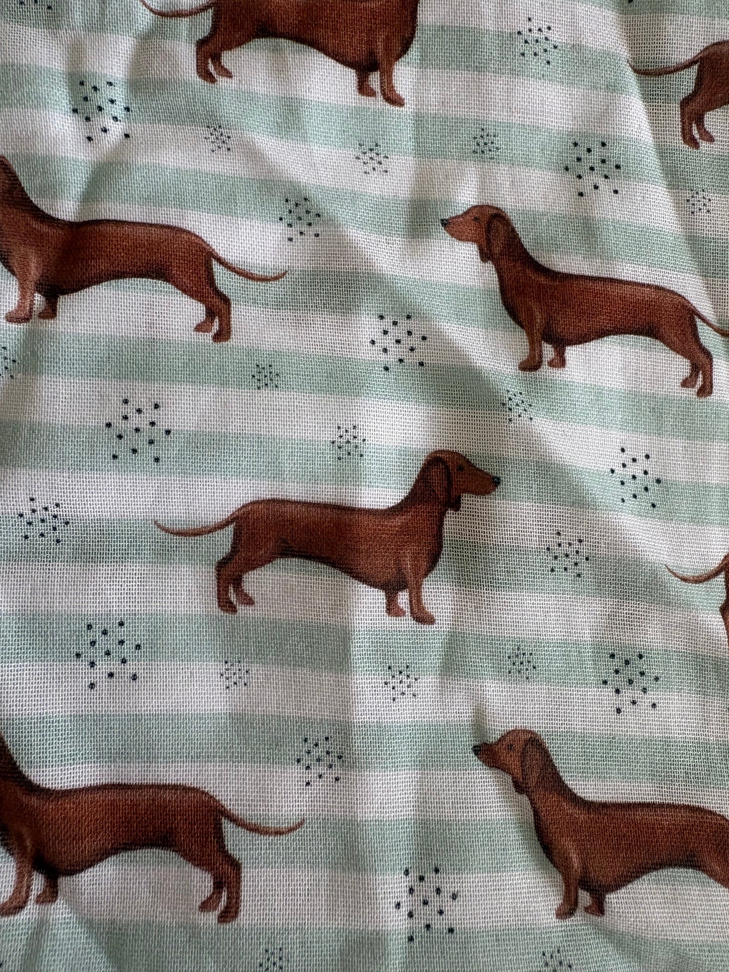 Muslins