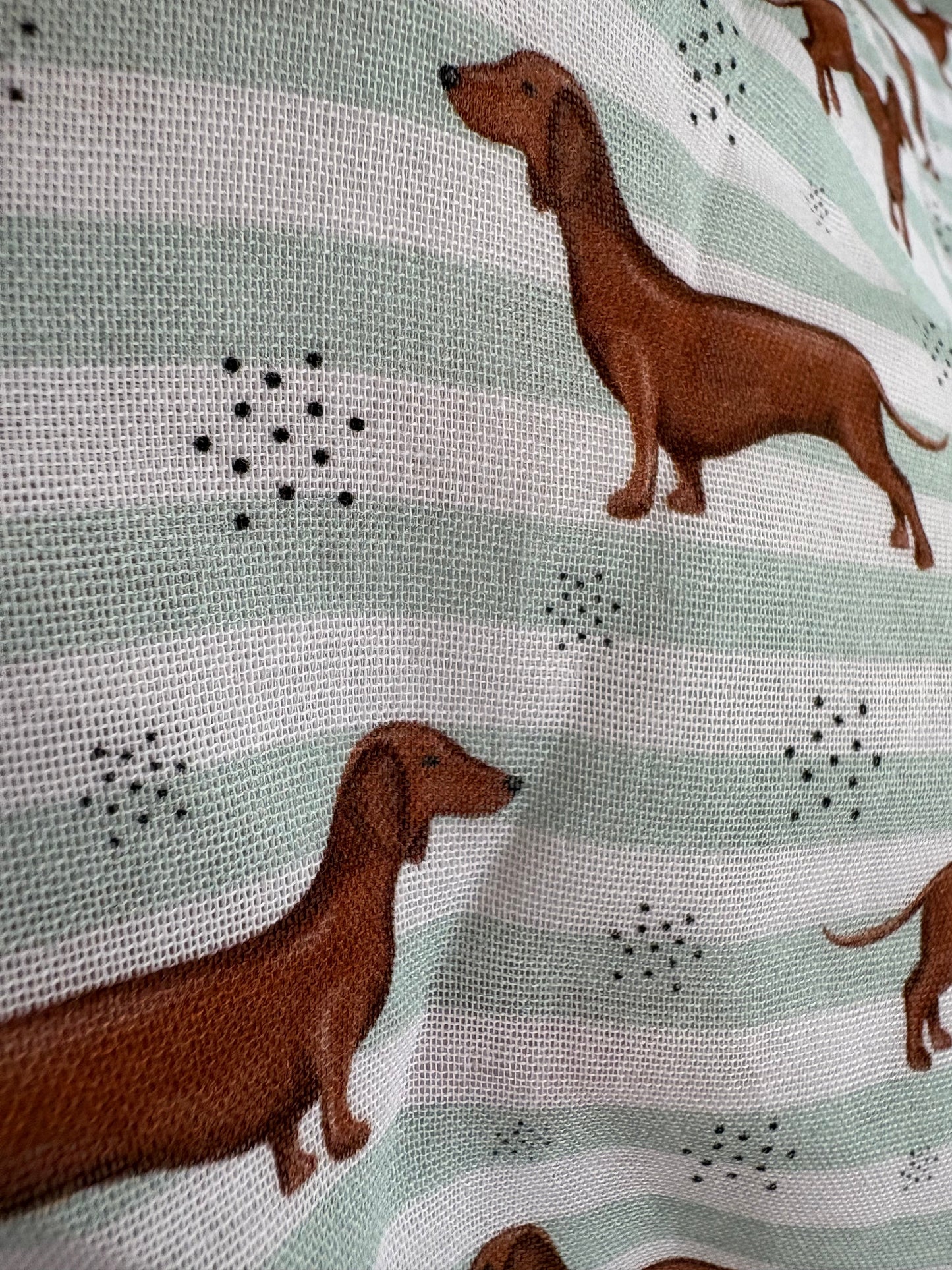 Muslins