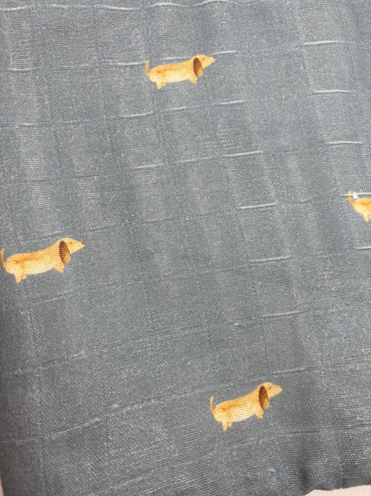 Muslins