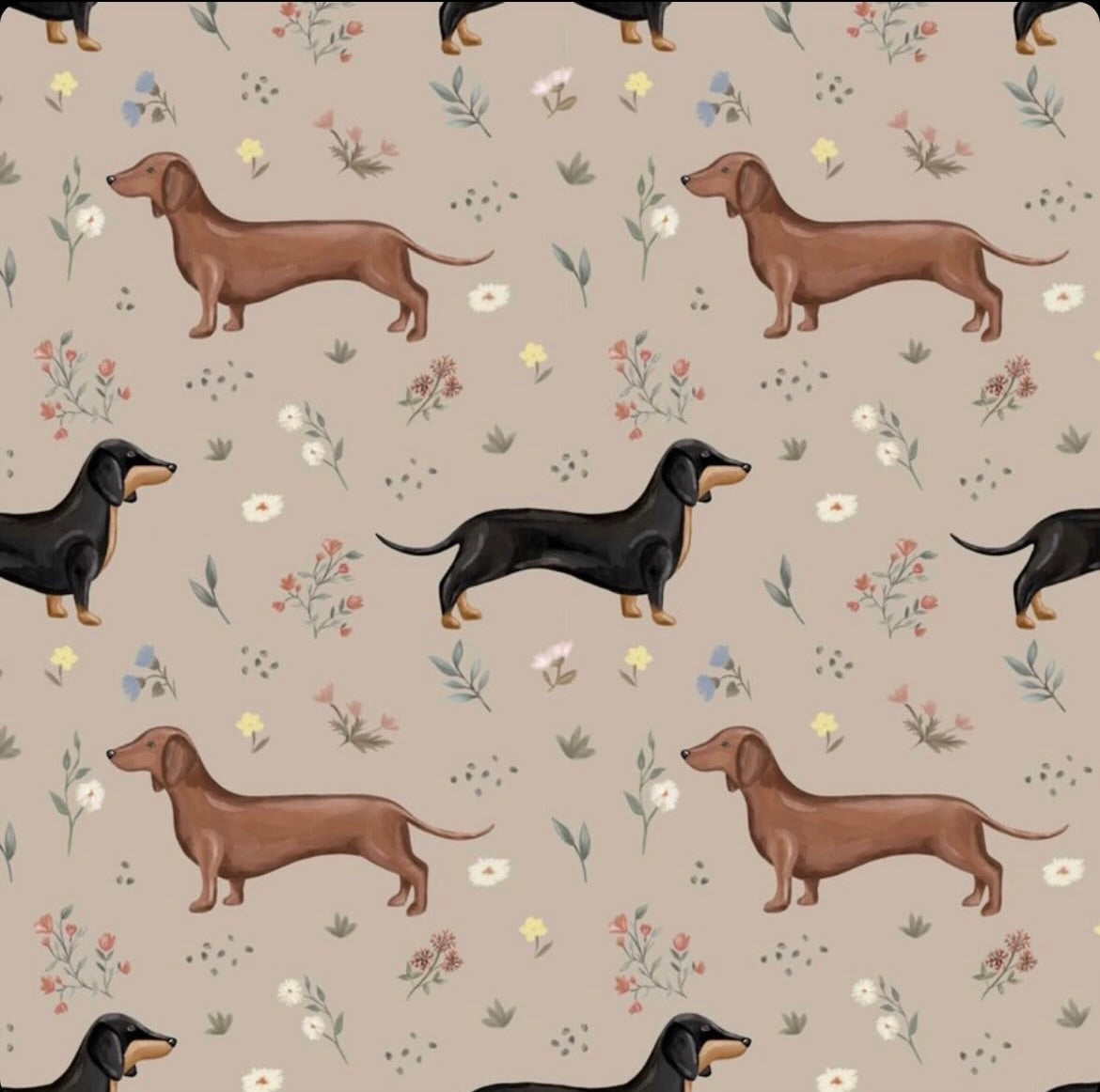 Florence sausage dog zippy baby-grow