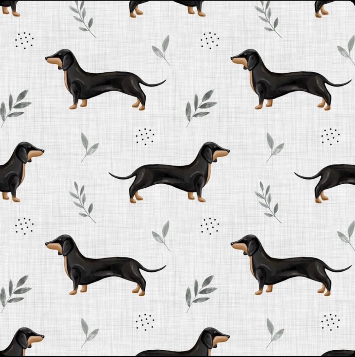 Frankie Dachshund Dog knotted hat