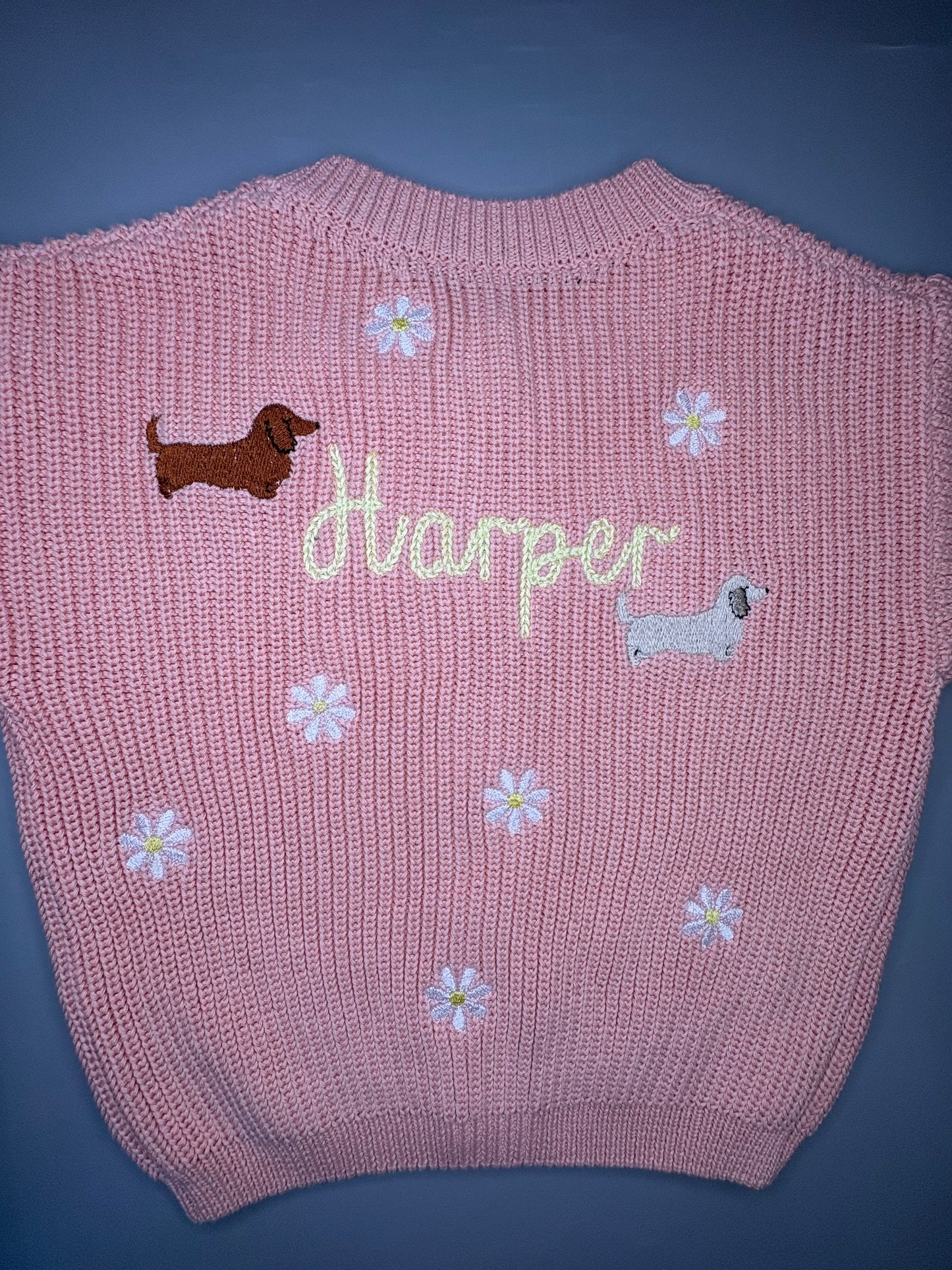 Spring sausage dog embroidered knitted jumper