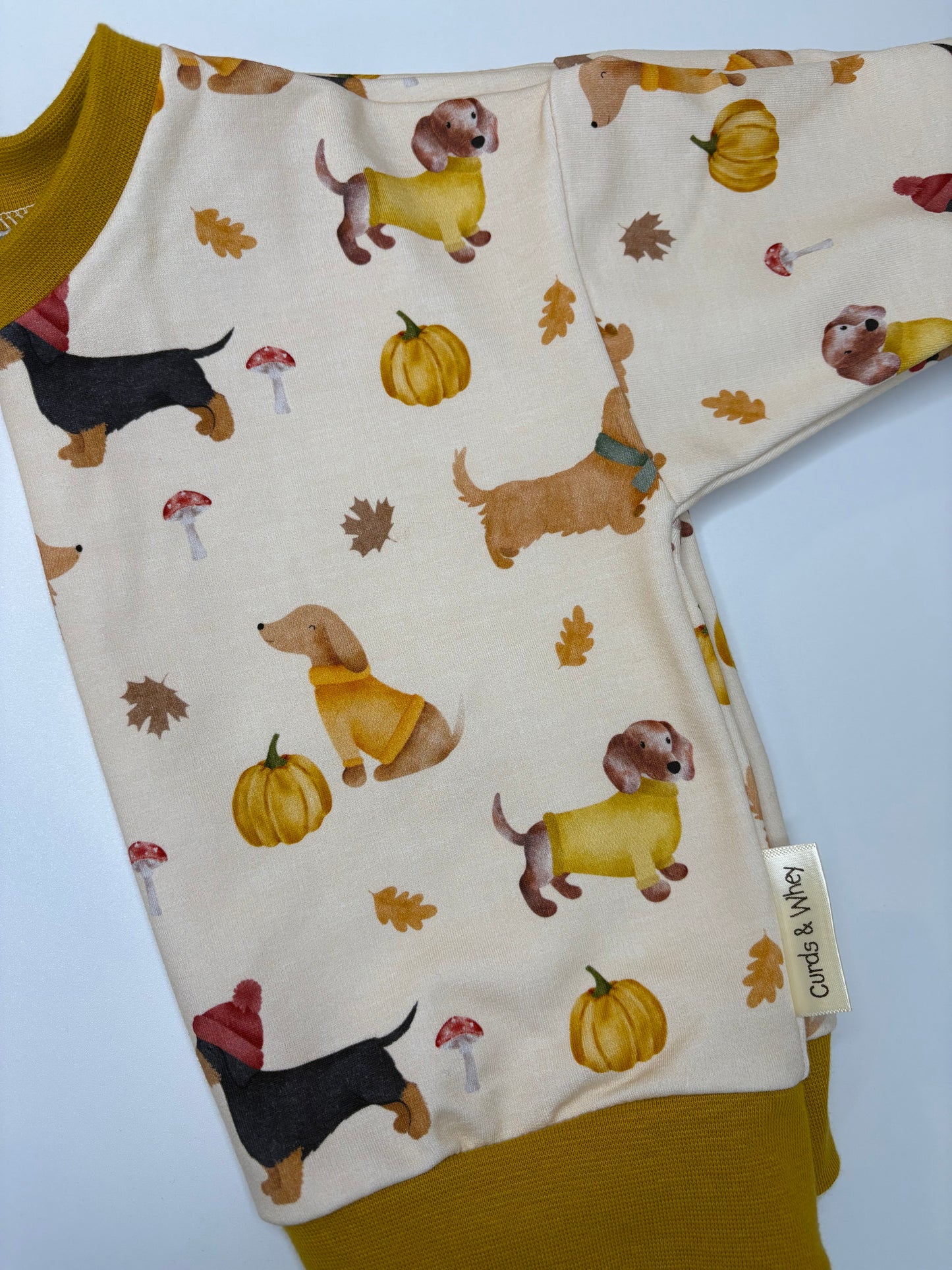 COSY DACHSHUND WALKS