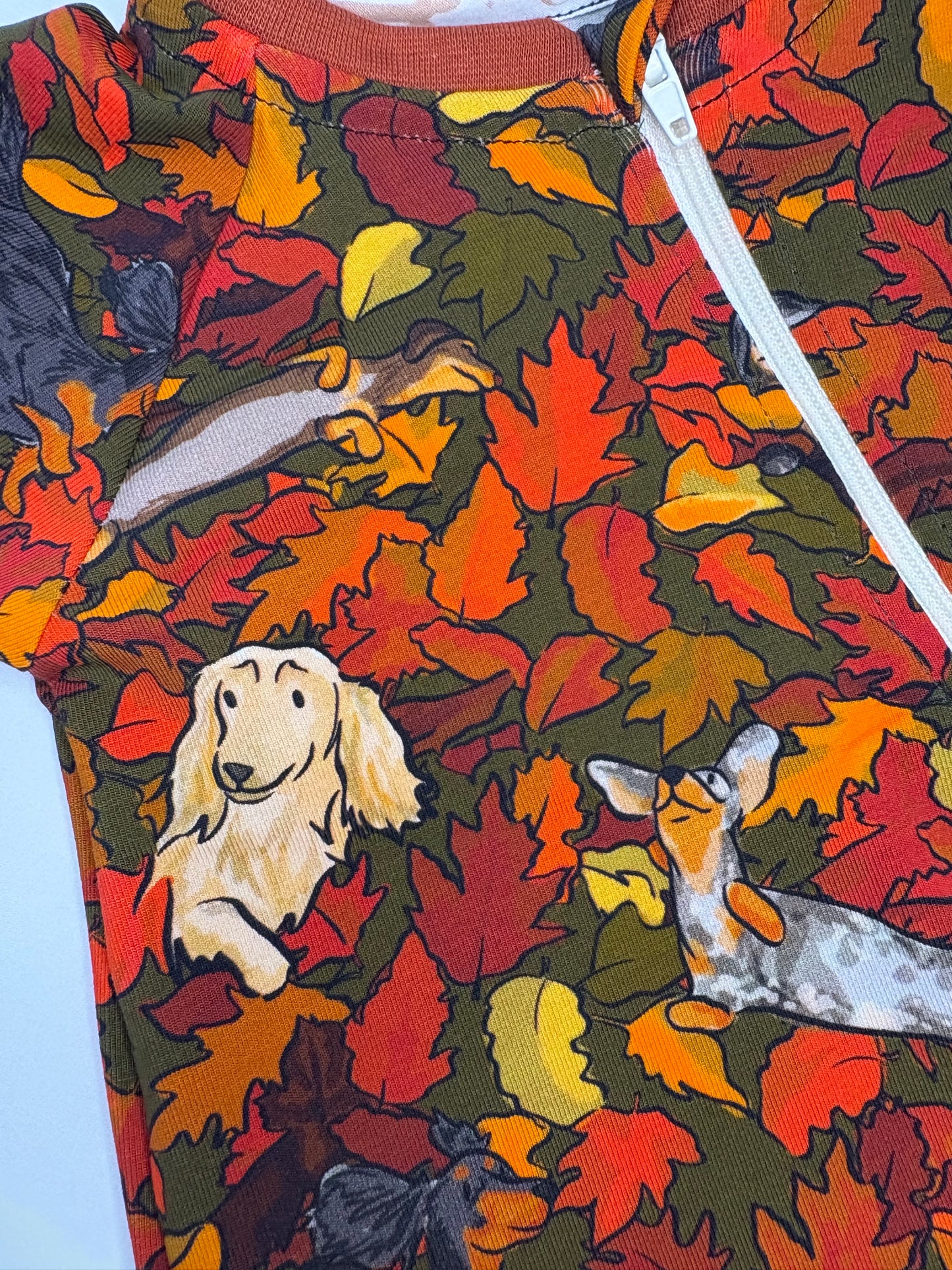 PLAYFUL DACHSHUND LEAVES