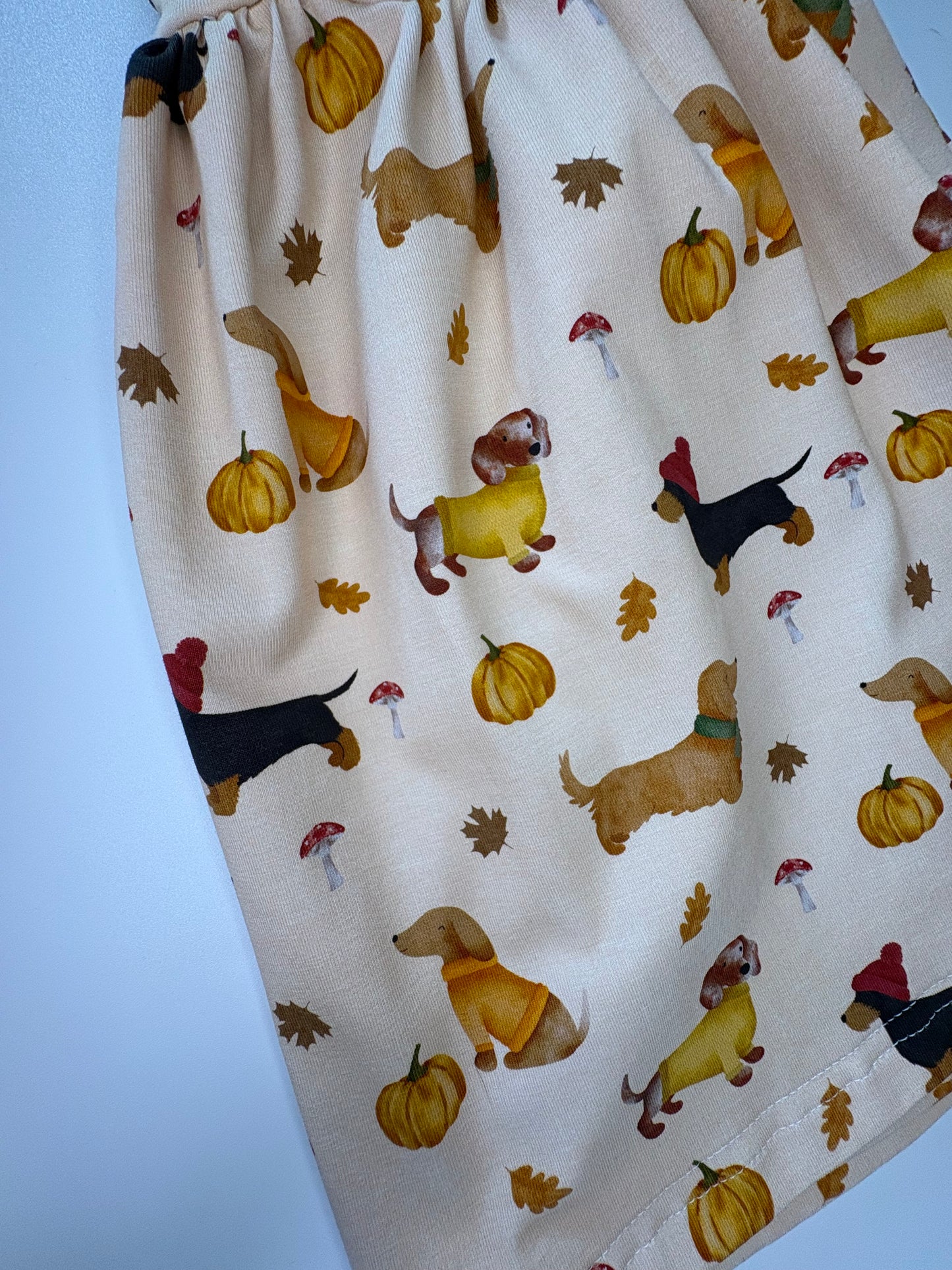 COSY DACHSHUND WALKS