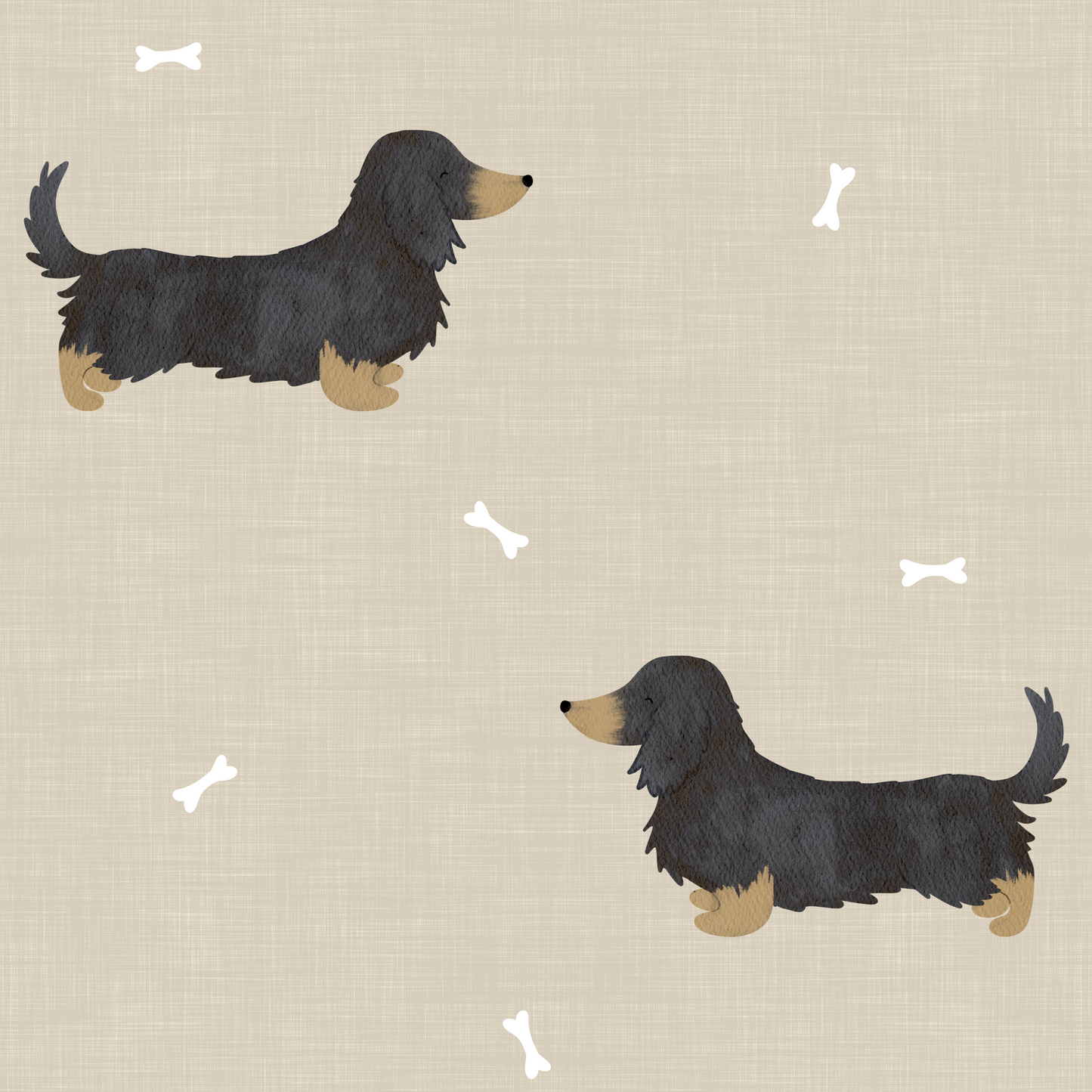 Nemo long haired dachshund zippy baby-grow