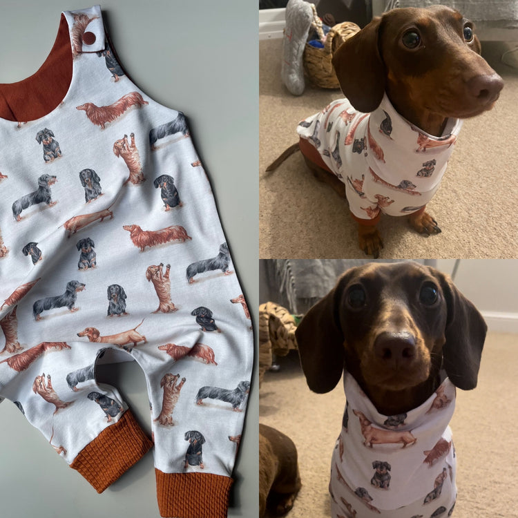Dog items