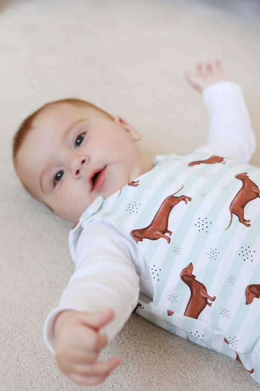 Mint stripe sausage dog Romper