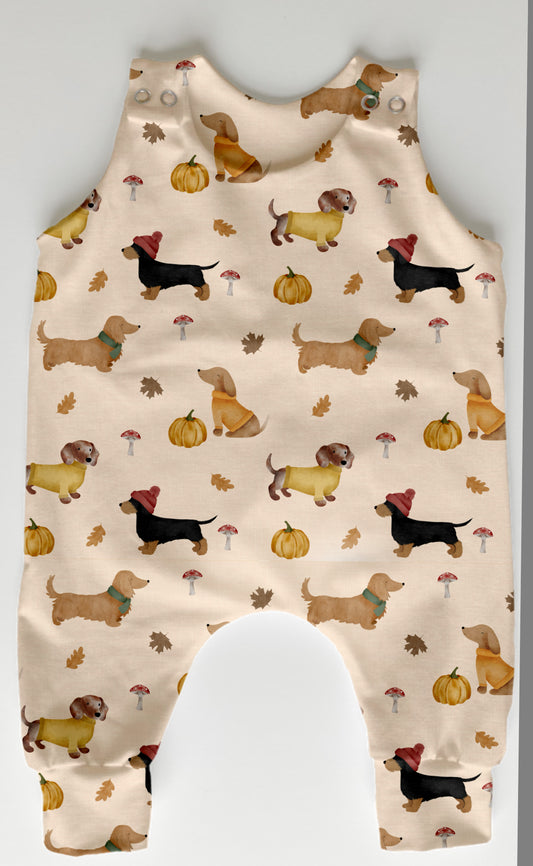 COSY DACHSHUND WALKS