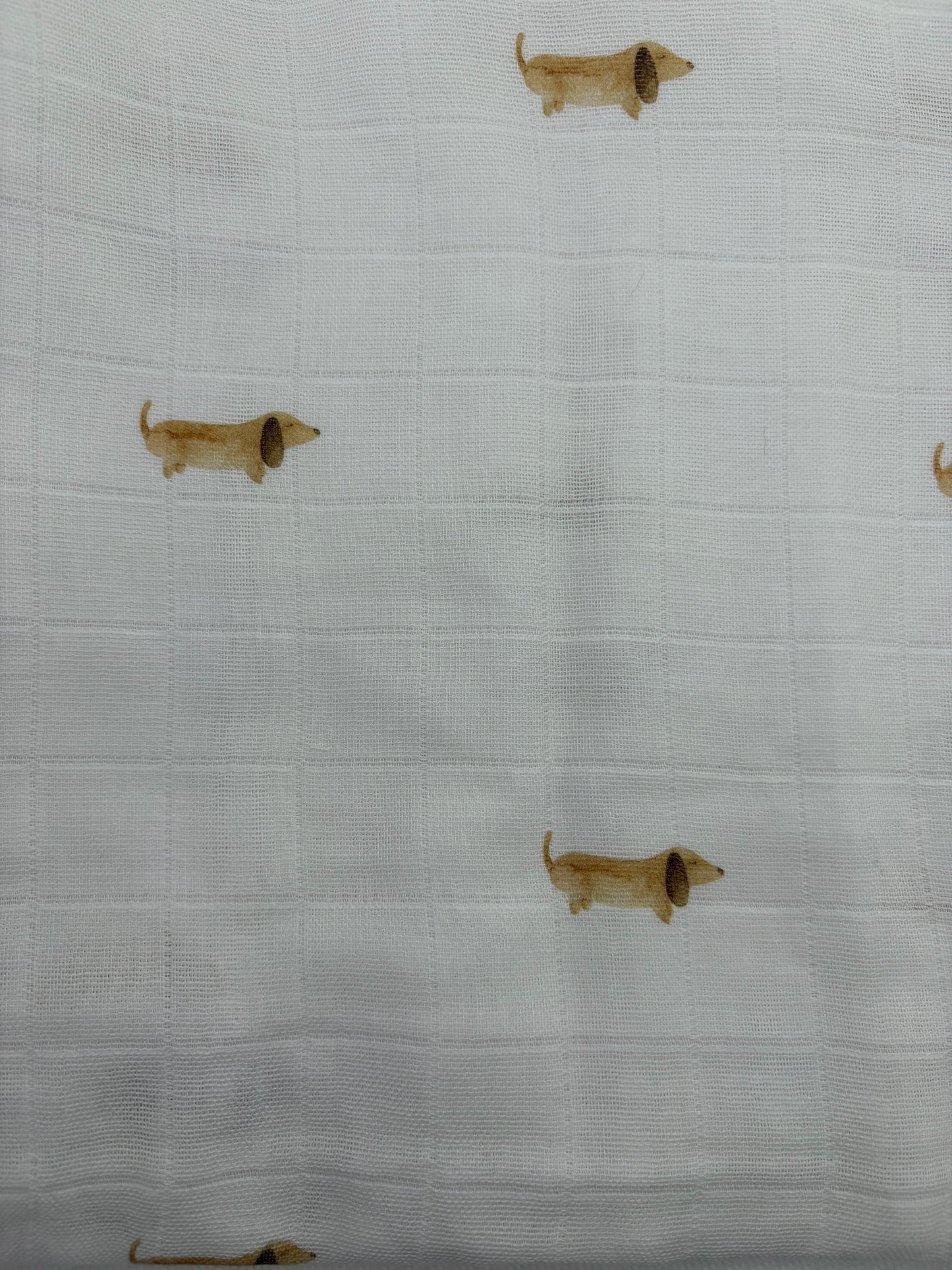 Muslins