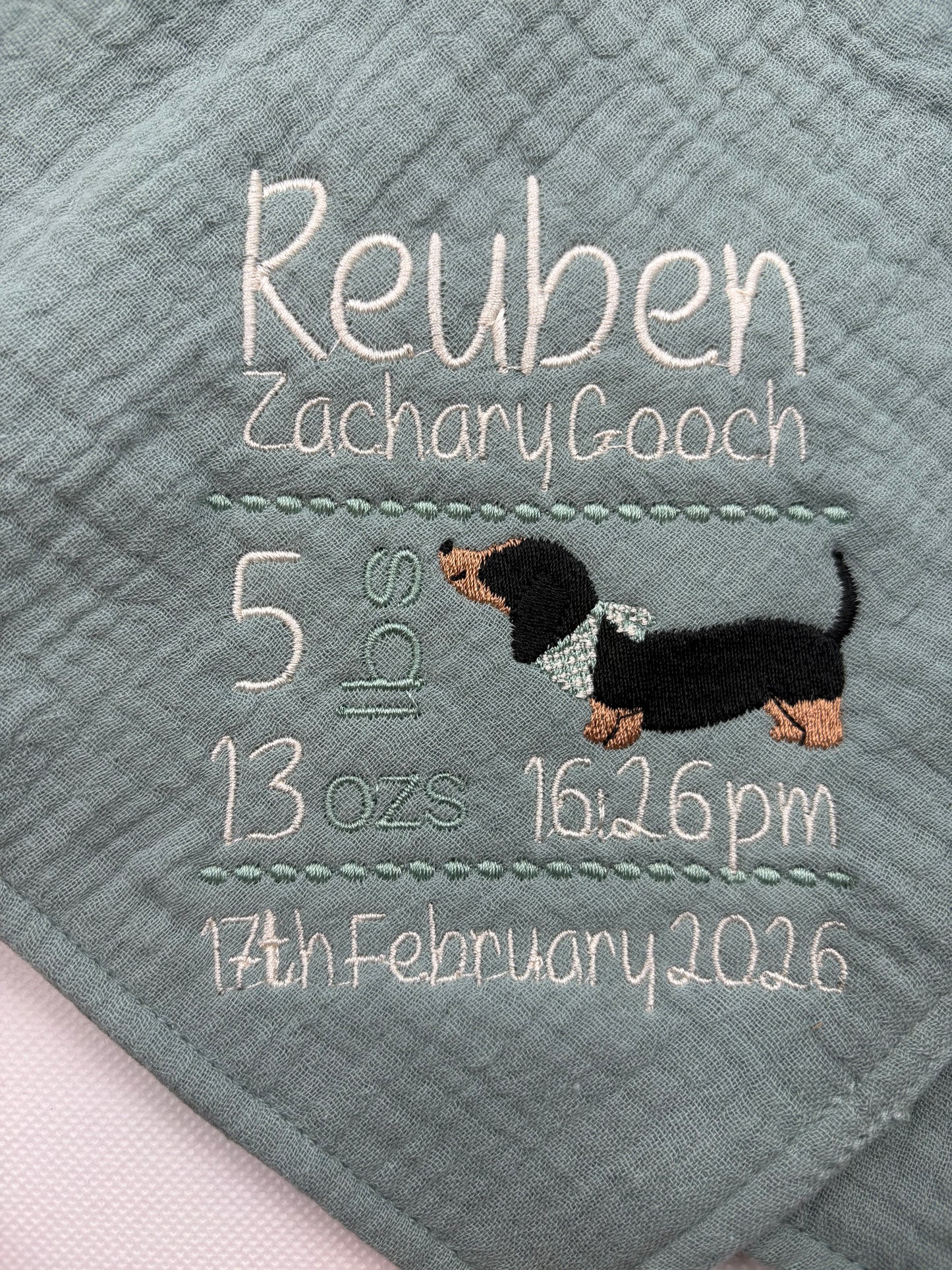 Puppy muslin comforter