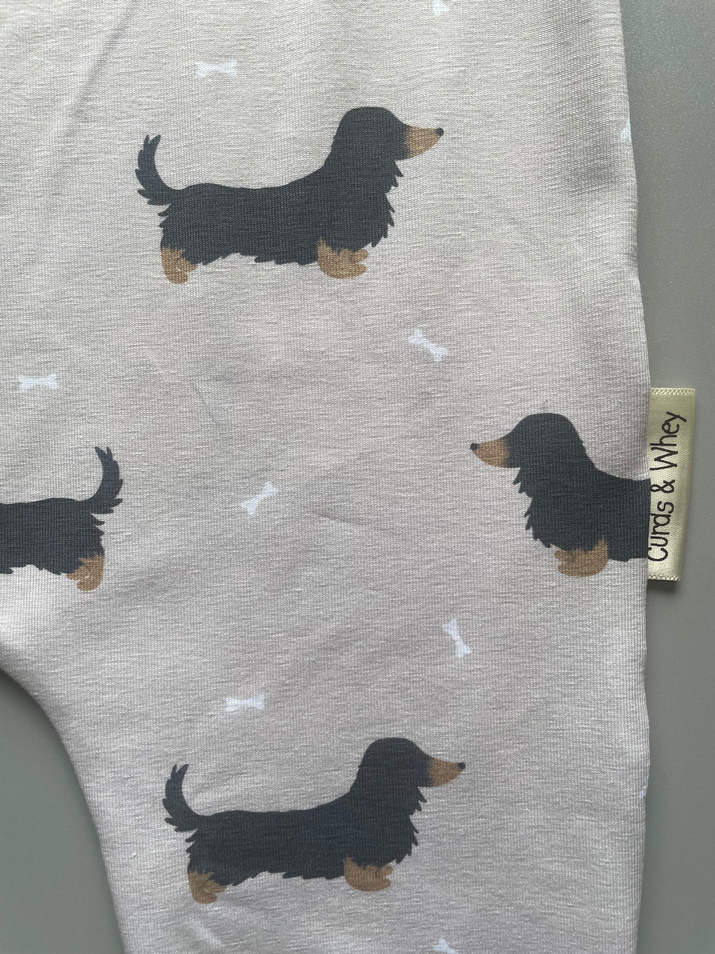 Nemo long haired dachshund romper