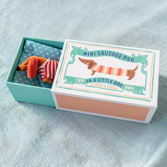 Sausage dog in a matchbox gift