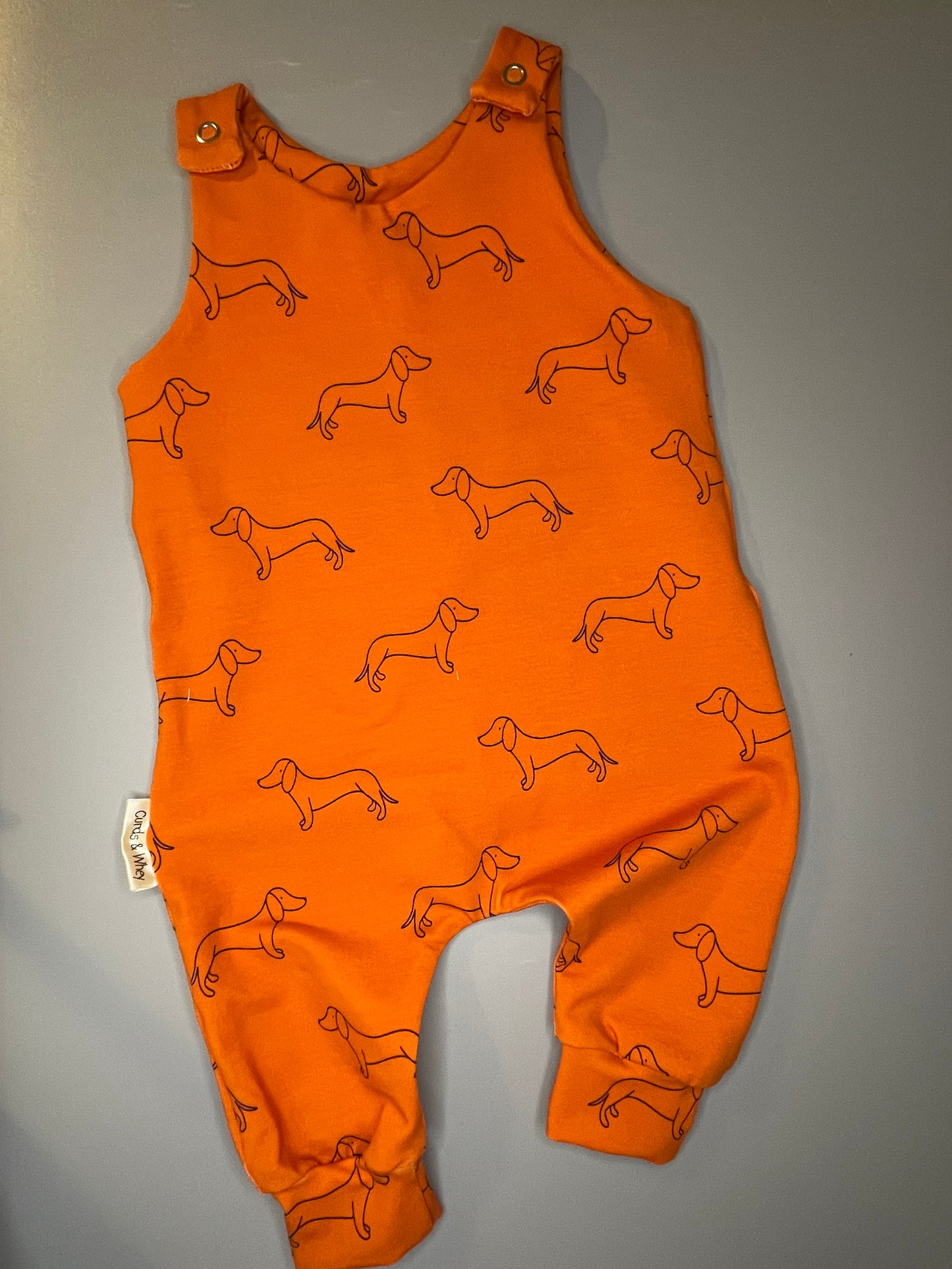 Pumpkin Doodle Dach romper