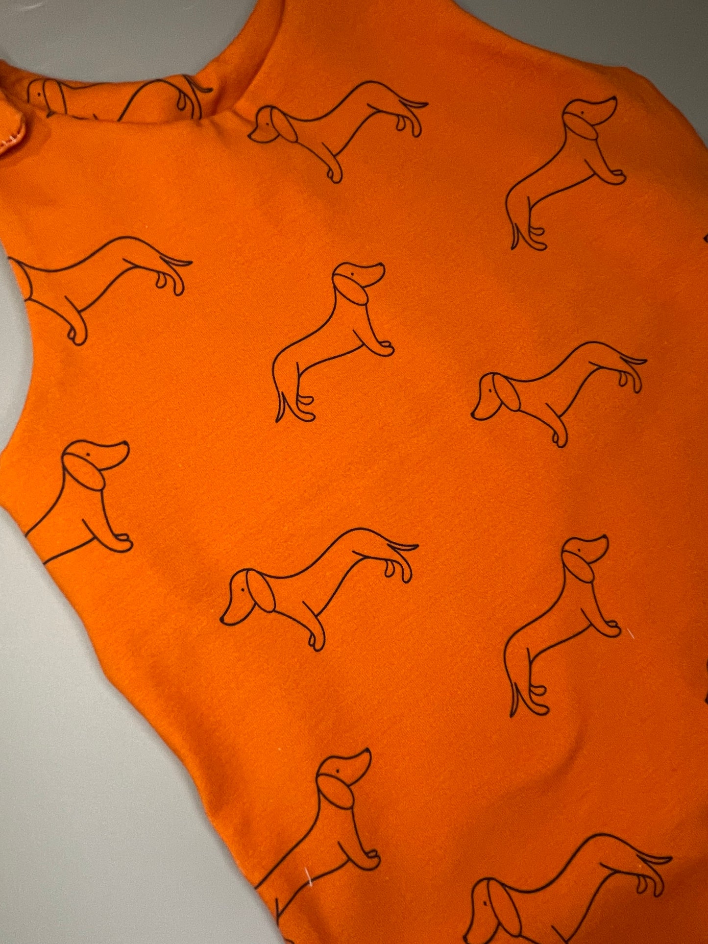 Pumpkin Doodle Dach romper