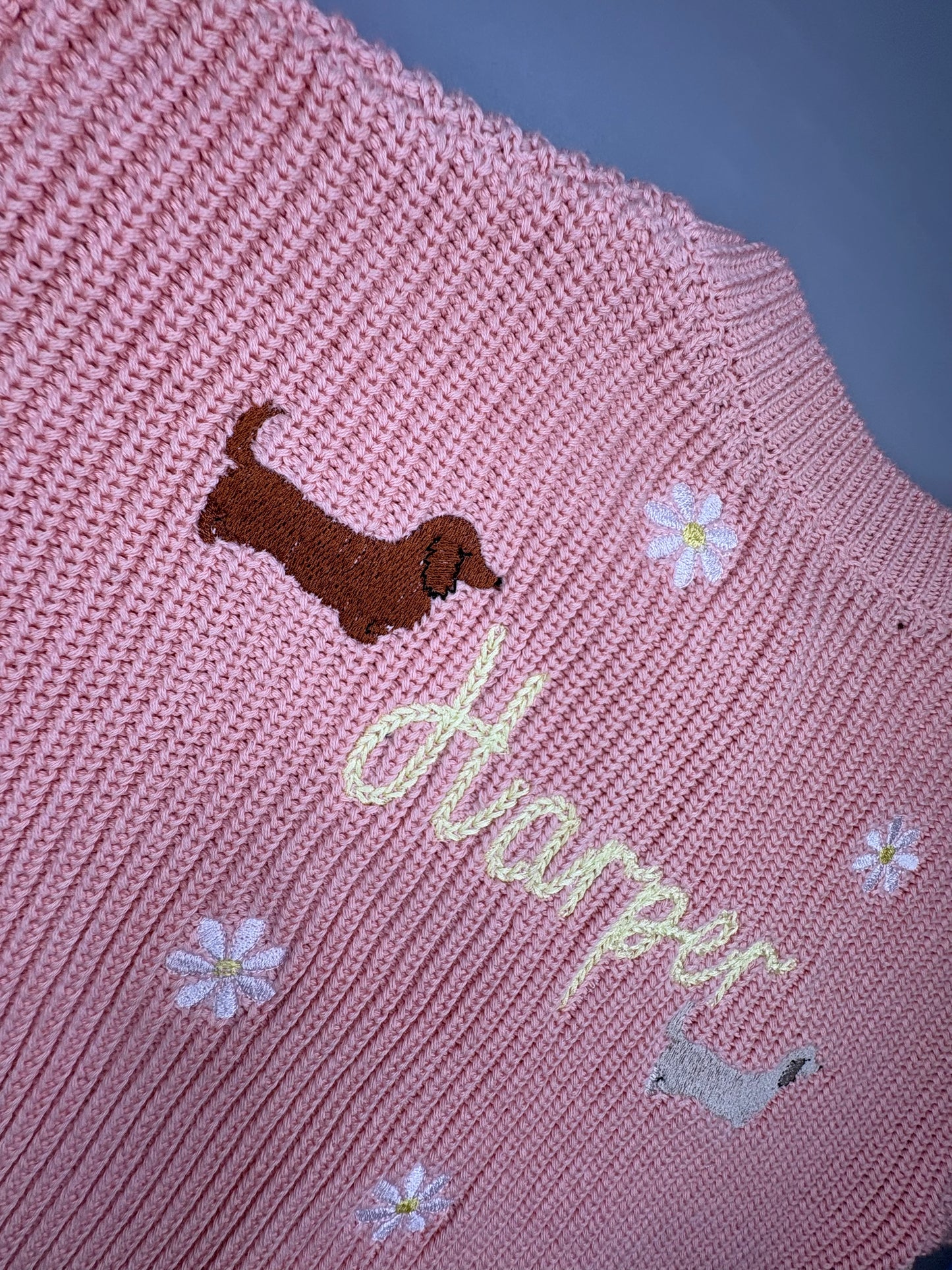 Spring sausage dog embroidered knitted jumper
