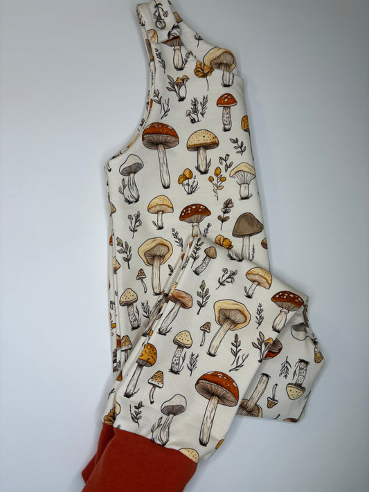 Autumn mushrooms