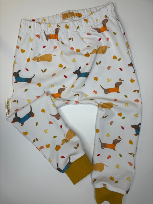 Dachshund autumn walks