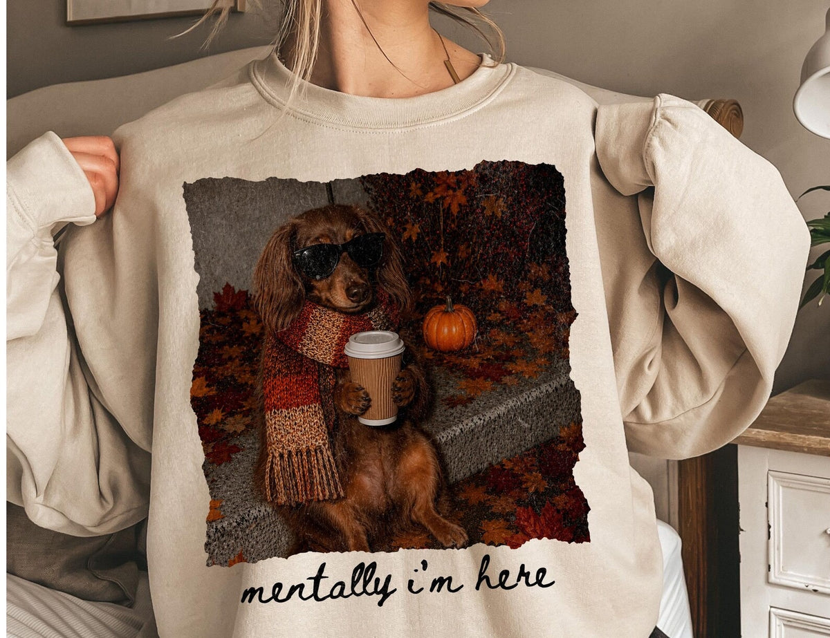 Adult sweaters