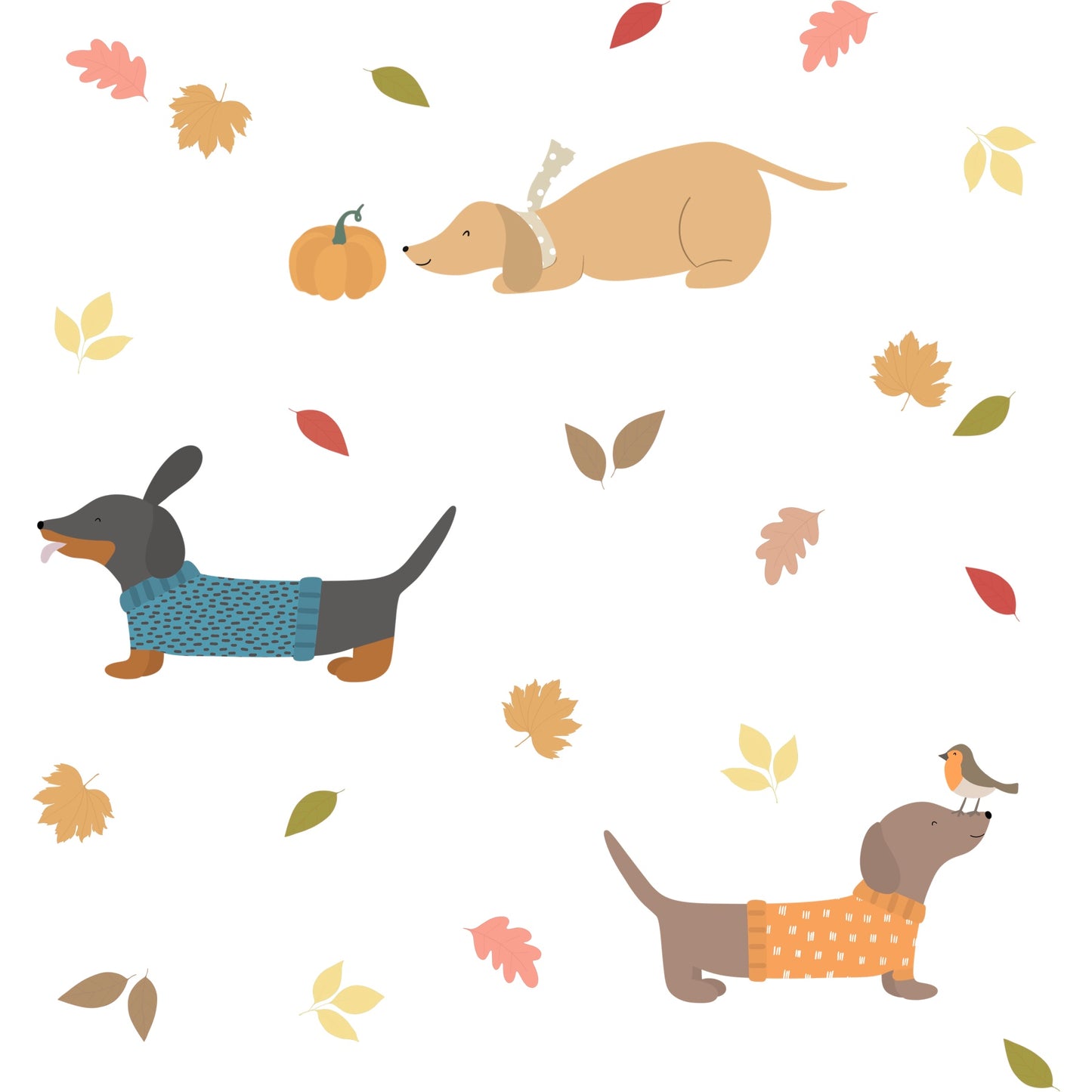 Dachshund autumn walks