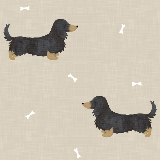 Nemo long haired dachshund romper